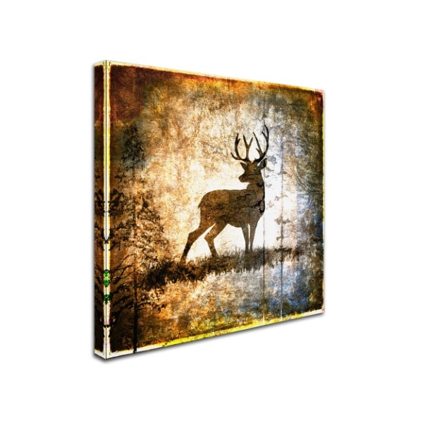 LightBoxJournal 'High Country Deer' Canvas Art,14x14